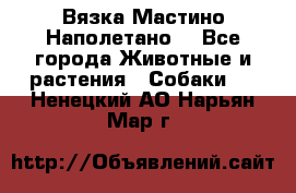 Вязка Мастино Наполетано  - Все города Животные и растения » Собаки   . Ненецкий АО,Нарьян-Мар г.